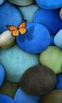 pic for Orange Butterfly On Blue Stones 768x1280